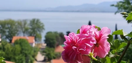 Апартмани Вила Роза, Дојран